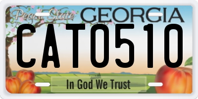 GA license plate CAT0510