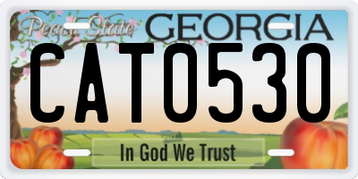 GA license plate CAT0530