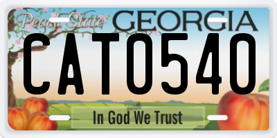 GA license plate CAT0540