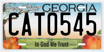GA license plate CAT0545