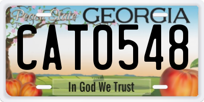 GA license plate CAT0548