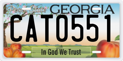 GA license plate CAT0551