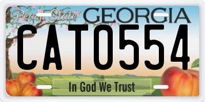 GA license plate CAT0554
