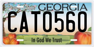 GA license plate CAT0560