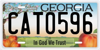 GA license plate CAT0596