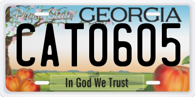 GA license plate CAT0605