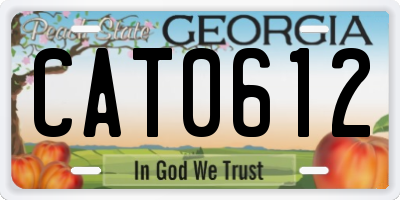 GA license plate CAT0612