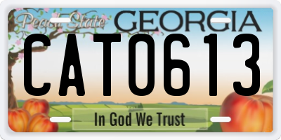 GA license plate CAT0613
