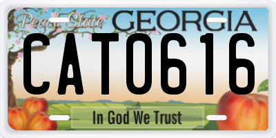 GA license plate CAT0616