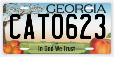 GA license plate CAT0623