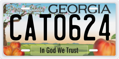 GA license plate CAT0624