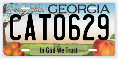 GA license plate CAT0629