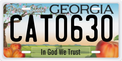 GA license plate CAT0630