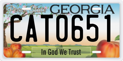 GA license plate CAT0651