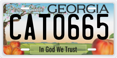GA license plate CAT0665