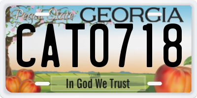 GA license plate CAT0718