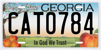 GA license plate CAT0784