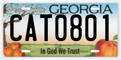 GA license plate CAT0801