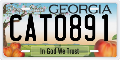 GA license plate CAT0891