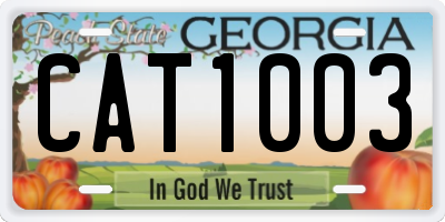 GA license plate CAT1003