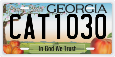 GA license plate CAT1030
