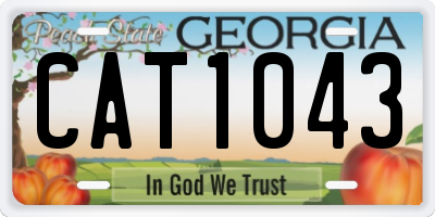 GA license plate CAT1043