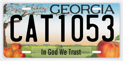 GA license plate CAT1053