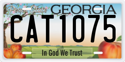 GA license plate CAT1075