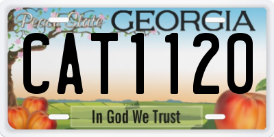 GA license plate CAT1120