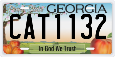 GA license plate CAT1132
