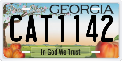 GA license plate CAT1142