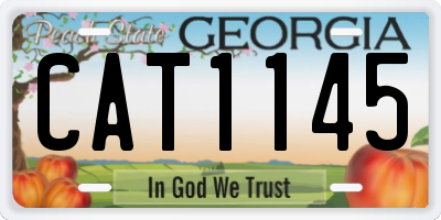 GA license plate CAT1145