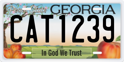 GA license plate CAT1239