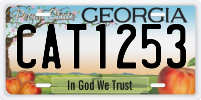 GA license plate CAT1253
