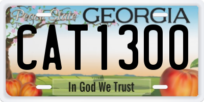 GA license plate CAT1300