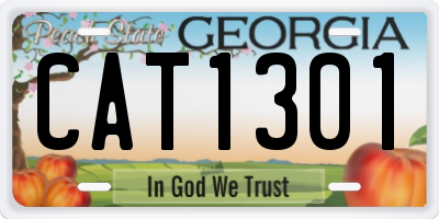 GA license plate CAT1301