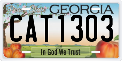 GA license plate CAT1303