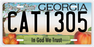 GA license plate CAT1305