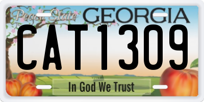 GA license plate CAT1309