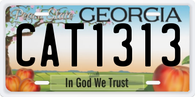 GA license plate CAT1313