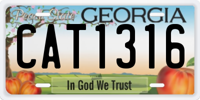 GA license plate CAT1316