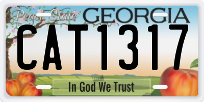 GA license plate CAT1317
