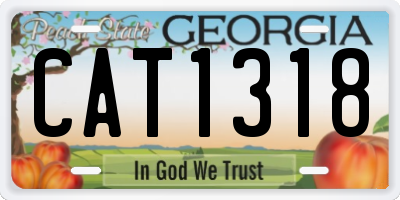 GA license plate CAT1318