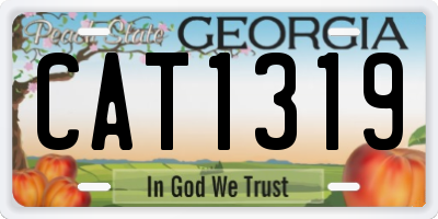 GA license plate CAT1319