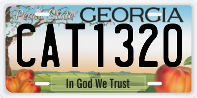 GA license plate CAT1320