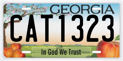 GA license plate CAT1323