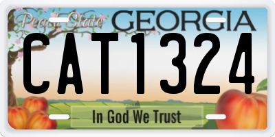 GA license plate CAT1324