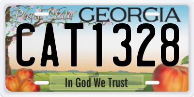 GA license plate CAT1328