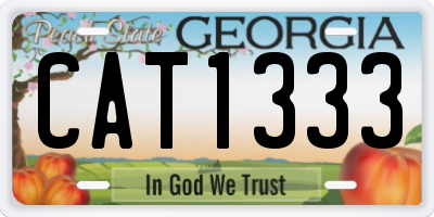 GA license plate CAT1333