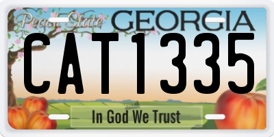 GA license plate CAT1335